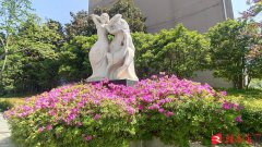 <strong>3.若是您发觉本网</strong>