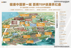 风取光来做设想